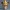3910  Venetian Carnival Mask Color 3D Model  cosplay  STL