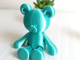 Pequeño Oso Flexi-8