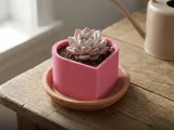 Heart Container Duo with Drainage and Storage Versions-7