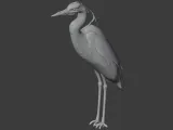 Heron-7