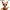Sphynx Cat - Pet funko pop