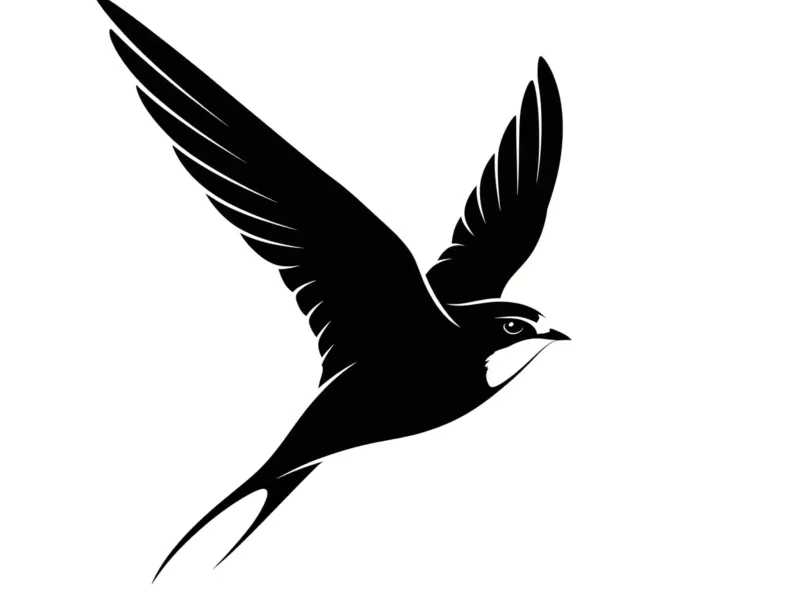 SWALLOW
