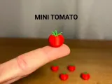 Petite Tomate-0
