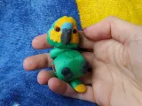 Amazon Keychain-7