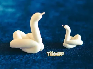 Mini Balloon Swan Duo