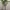 FACE FLOWER POT / VASE / PLANTER