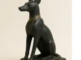anubis dog-2