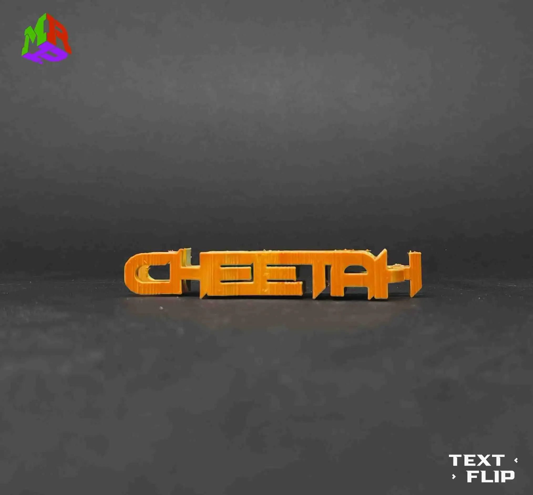 Text Flip - Cheetah