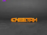 Text Flip - Cheetah-2