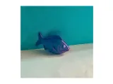 pesce-2