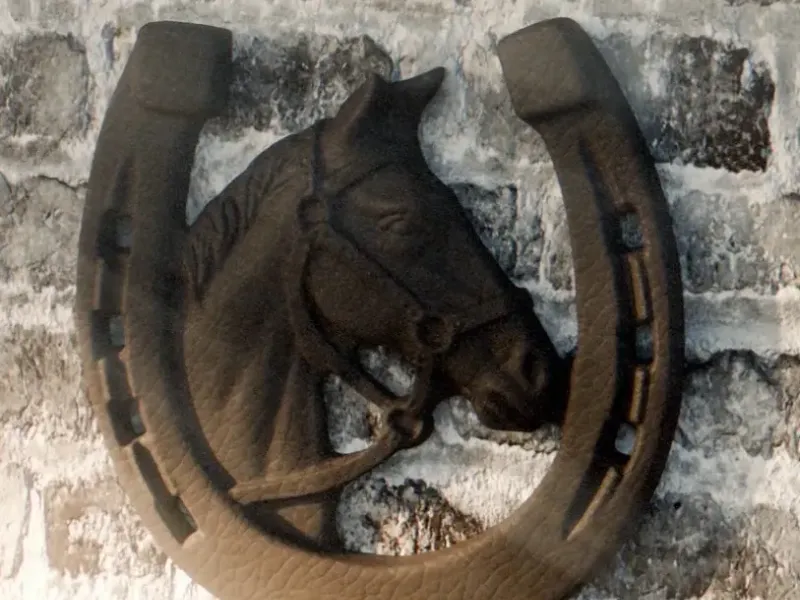 Horseshoe with Horse Head – wall decoration