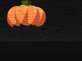 pumpkin-5