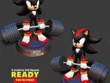 Shadow the Hedgehog lifting weight-4