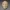 Life Mask of Abraham Lincoln