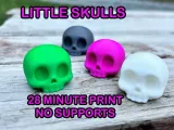 Little Skull-0
