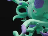 Octopus Toothbrush Holder - Hanging-3