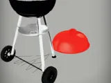 Weber Grill -0