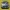 Megane 2 szélvédőrács műanyag 8200100590