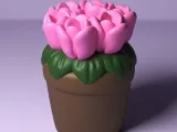 Potted Tulip-3