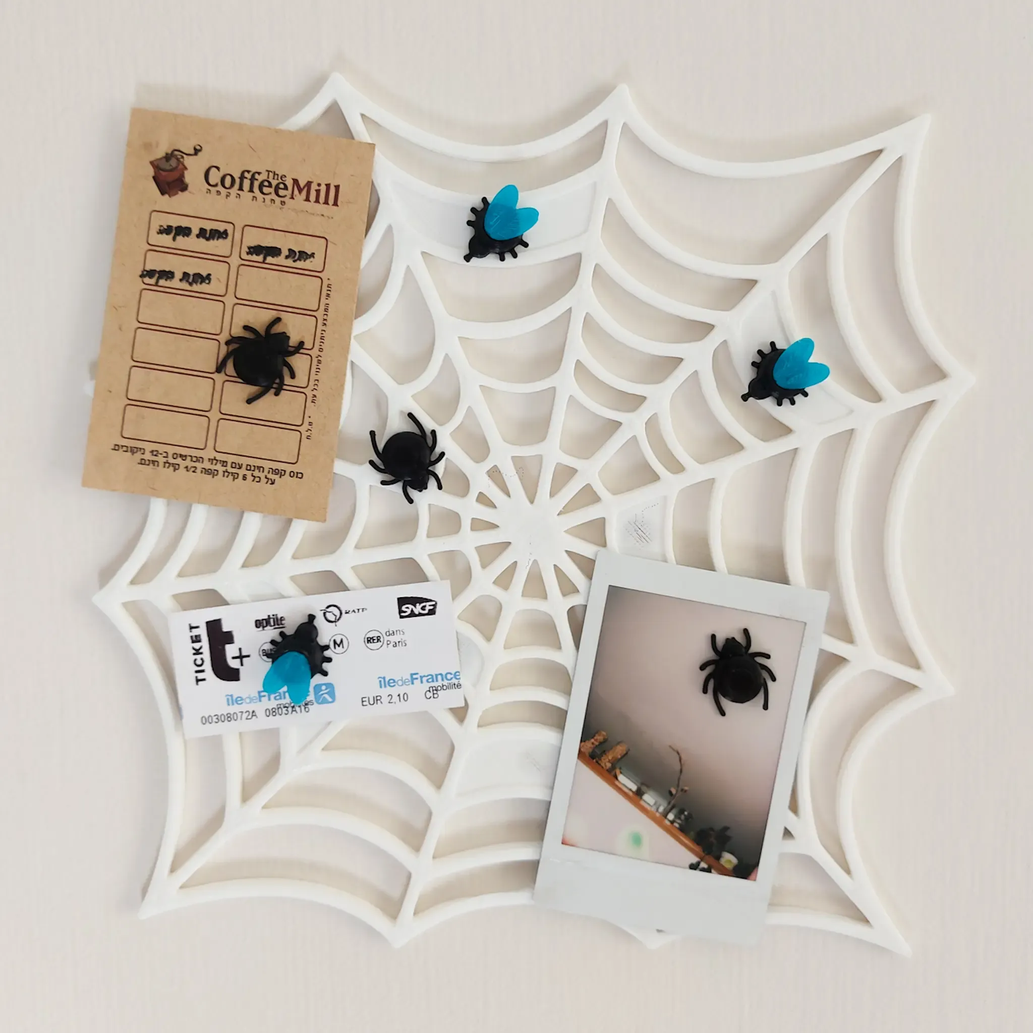Spiderweb Photo Trap