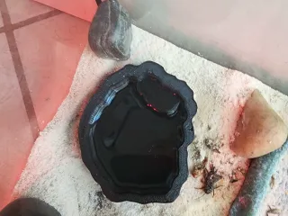 reptile water container
