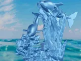 Dolphin seaweed-5