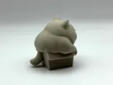 Chonky Box Kitten-2