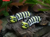 Print In Place Cute Flexi Monarch Caterpillar-2