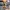 Maker Cuva Halloween outfit