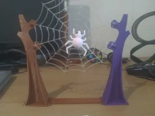 Jump spider