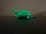 Snapping Turtle-1