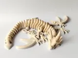 Flexi Skeleton Dragon-4
