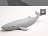 Blue whale-0