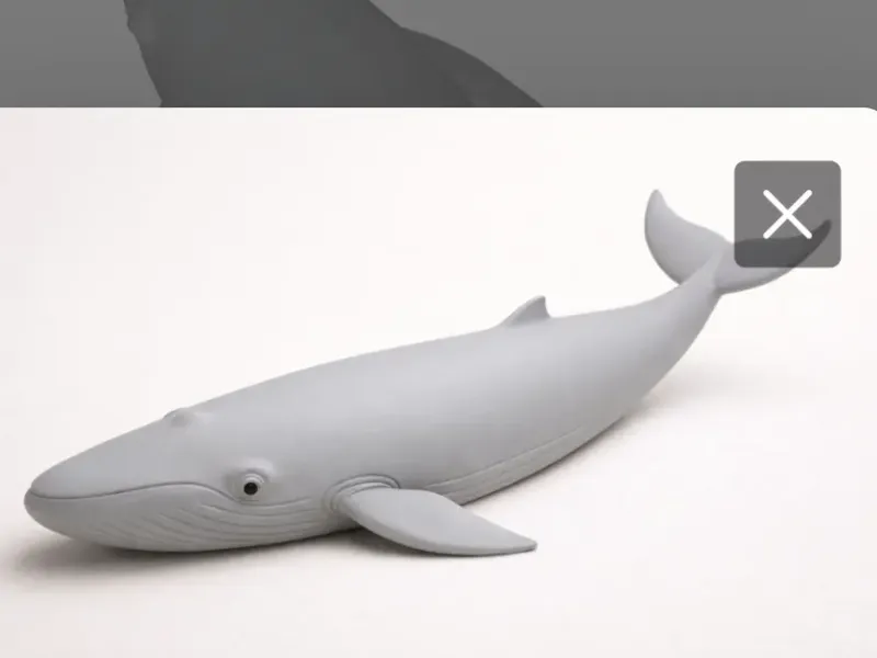Blue whale