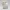 Gentle Wooly Sheep – Noah0x03