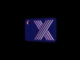 X- keychain-2