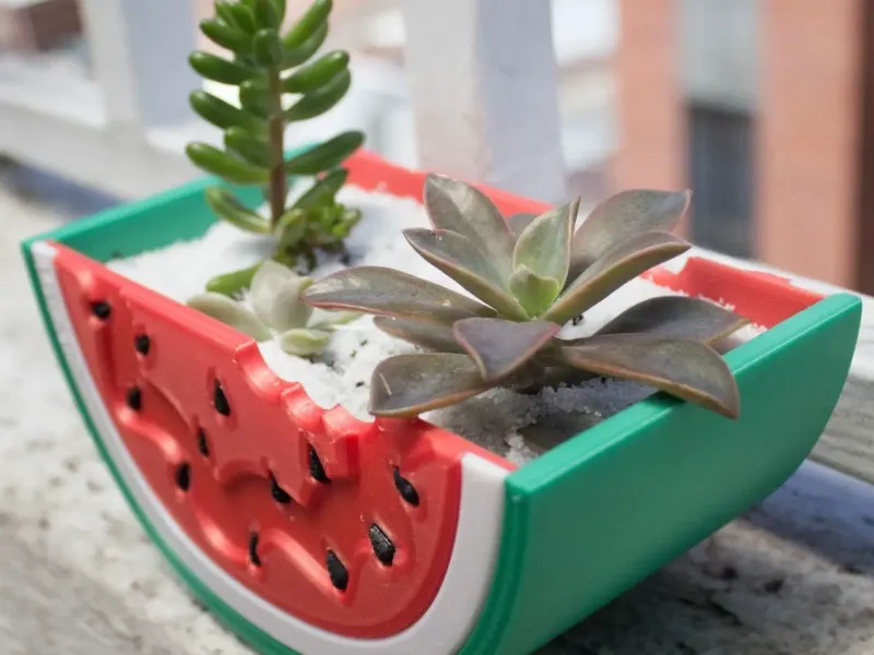 WATERMELON PLANT POT