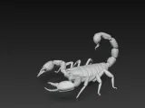 Escorpião teste free-1