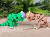 Tiny Pachy-2