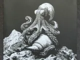 Octopus-0