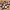Pet Training Clickers – AMS Multi-Color Ready | Easy Print |
