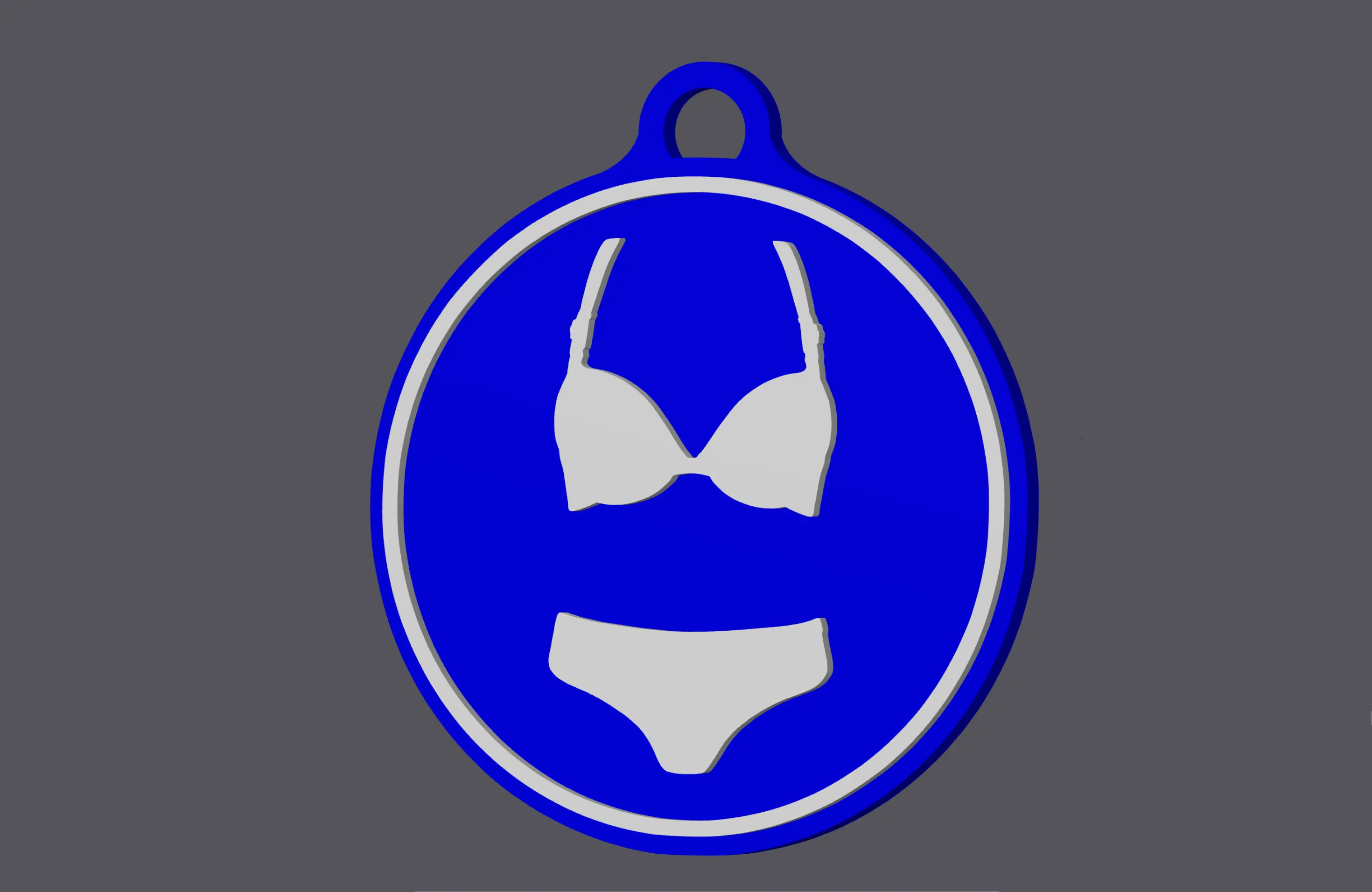 Sign 'Bikini/Lingerie Allowed/Obliged' - Keychain