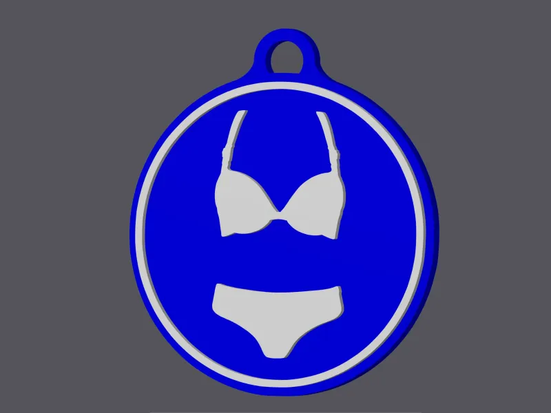 Sign 'Bikini/Lingerie Allowed/Obliged' - Keychain