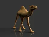Egypt theme-4