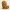 Lhasa Apso – Roots of Life