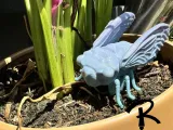 Cicada-0