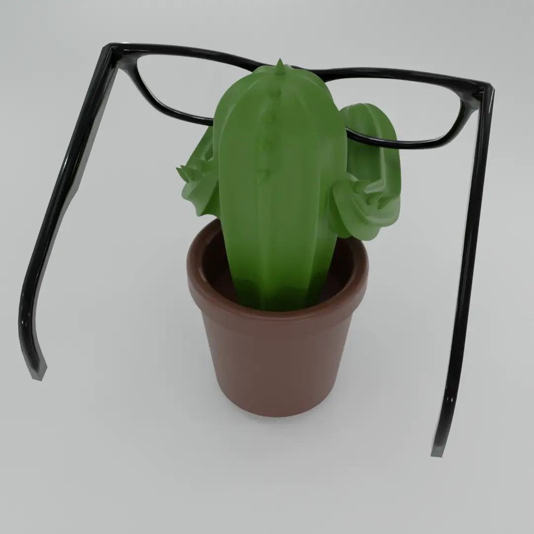 Cactus Brilhouder