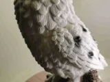 owl-2