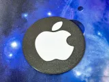 Apple coasters in two colors-1