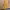 Midas Fortnite